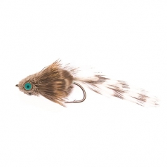 Elritse Grizzly Gr.6