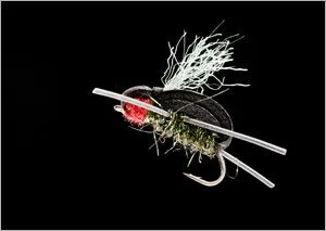 DVD - The Fish & The Fly 3 Terrestrials (Landinsekten )