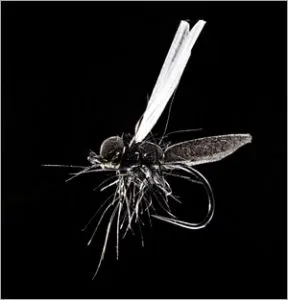 DVD - The Fish & The Fly 3 Terrestrials (Landinsekten )