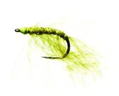 Salatbladet Multeflue / Meeräschenfliege Gr.6